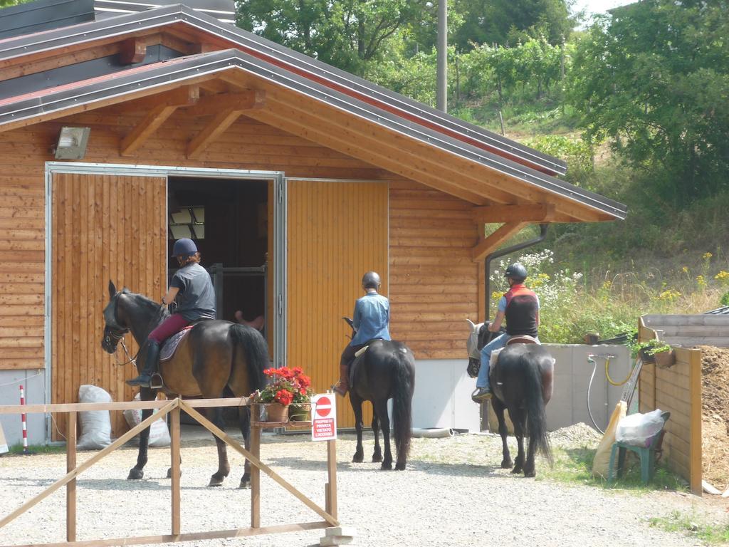 Micro-Cottage In Pietra La Ratatouille Dego Εξωτερικό φωτογραφία