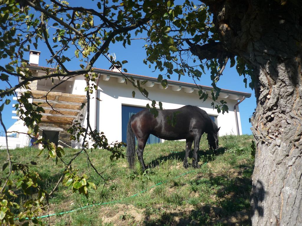 Micro-Cottage In Pietra La Ratatouille Dego Εξωτερικό φωτογραφία