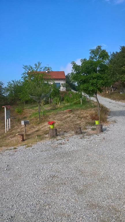 Micro-Cottage In Pietra La Ratatouille Dego Εξωτερικό φωτογραφία