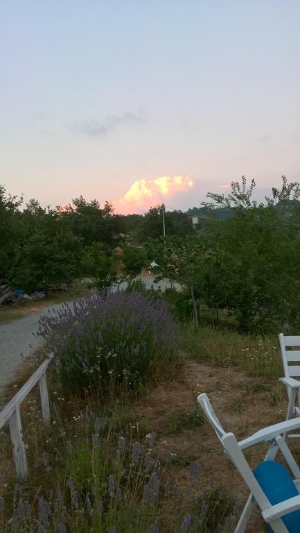 Micro-Cottage In Pietra La Ratatouille Dego Εξωτερικό φωτογραφία