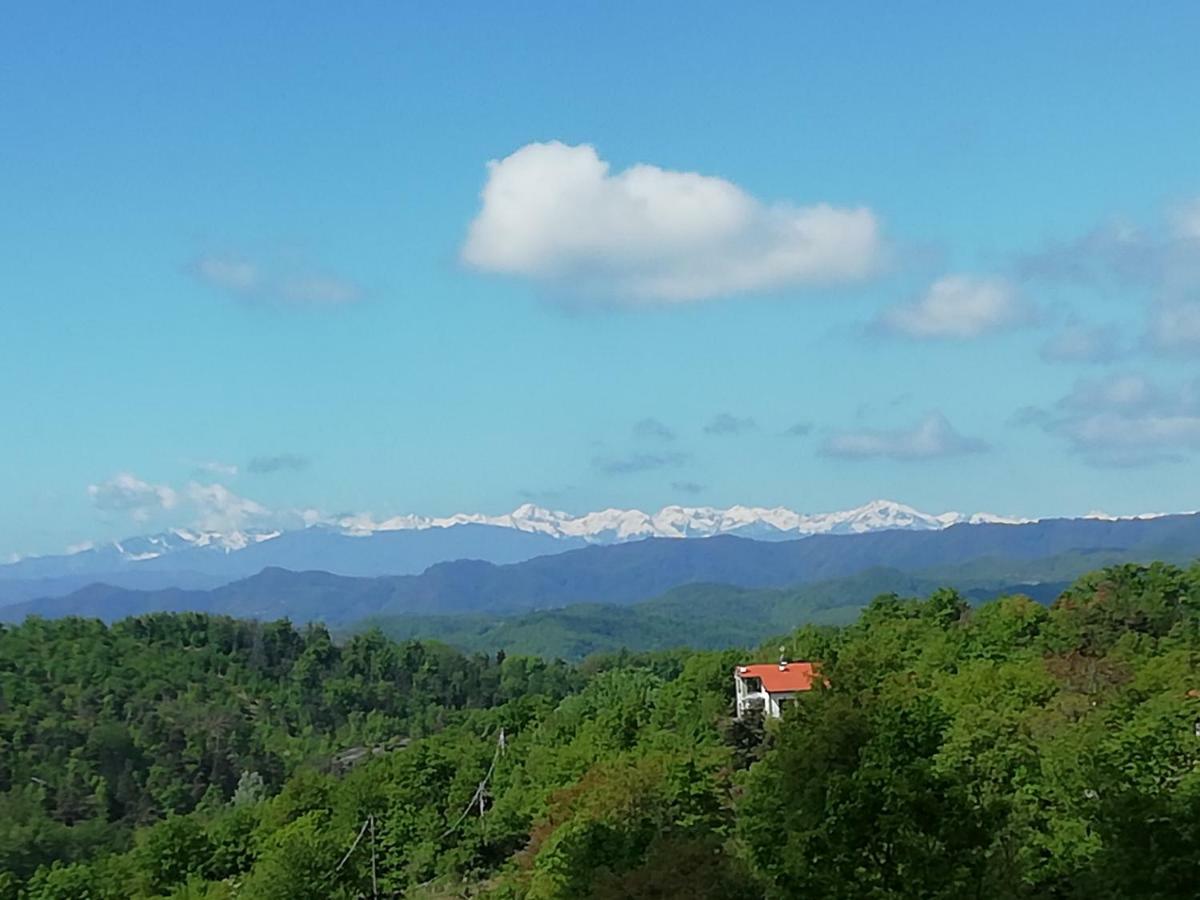 Micro-Cottage In Pietra La Ratatouille Dego Εξωτερικό φωτογραφία